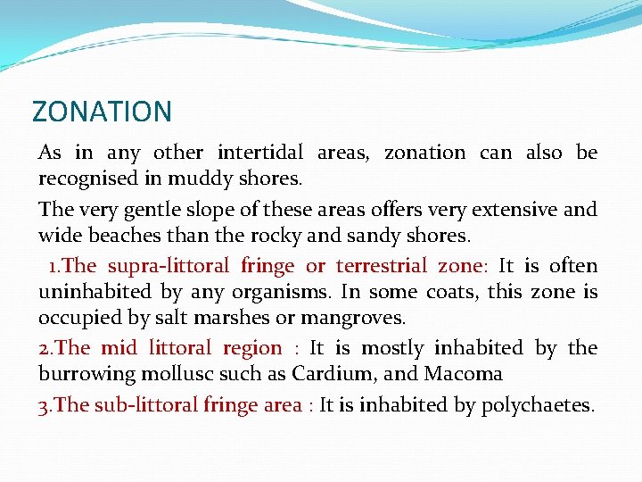 ZONATION As in any other intertidal areas, zonation can also be recognised in muddy
