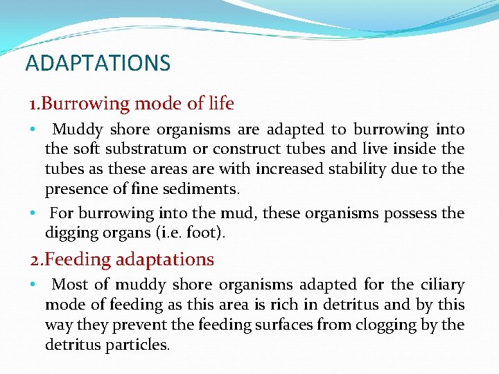 ADAPTATIONS 1. Burrowing mode of life Muddy shore organisms are adapted to burrowing into