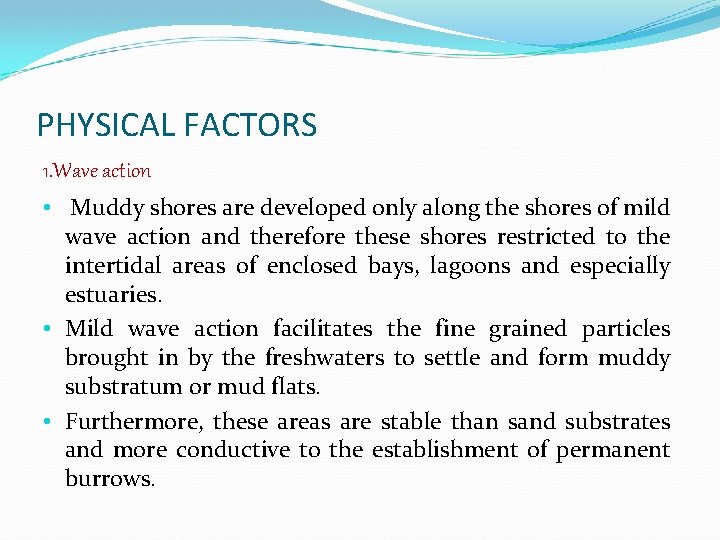 PHYSICAL FACTORS 1. Wave action • Muddy shores are developed only along the shores
