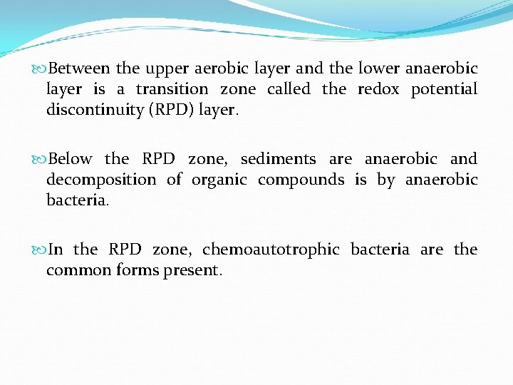  Between the upper aerobic layer and the lower anaerobic layer is a transition