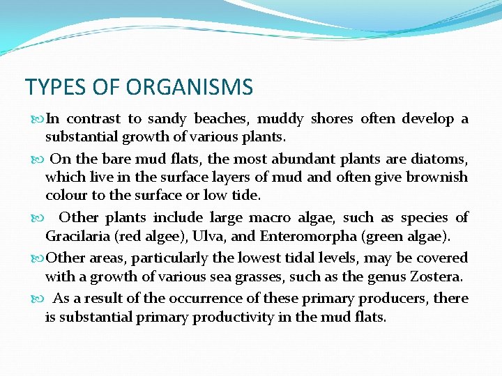 TYPES OF ORGANISMS In contrast to sandy beaches, muddy shores often develop a substantial