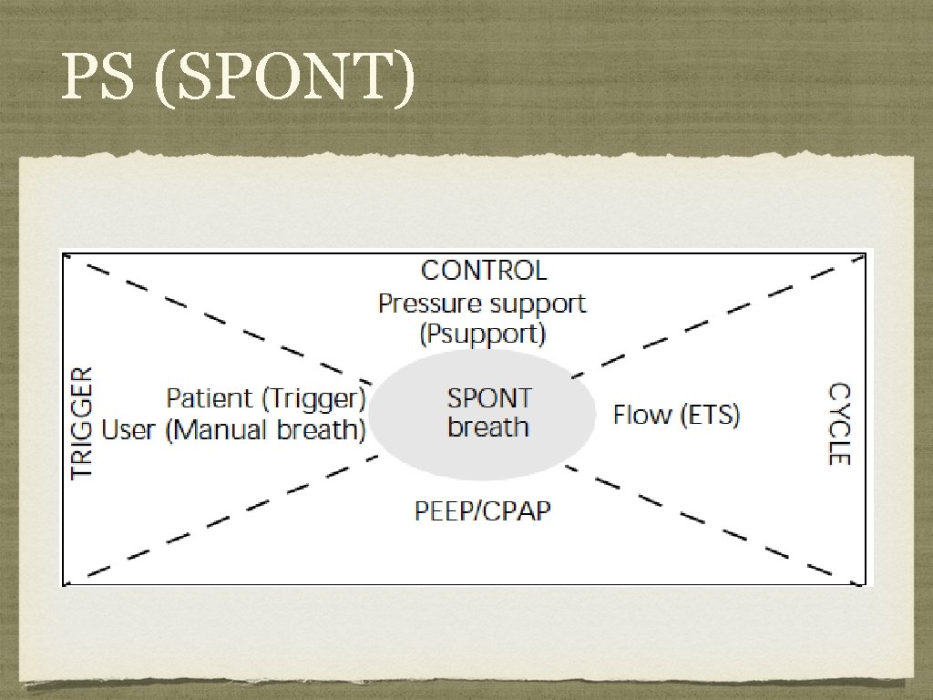 PS (SPONT) PS (SPONT)