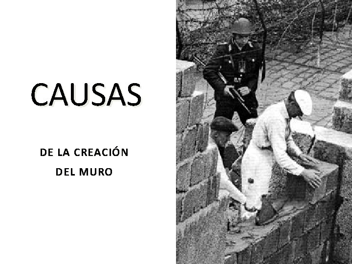 CAUSAS DE LA CREACIÓN DEL MURO 