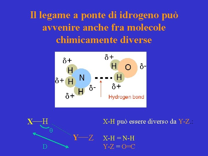 Il legame a ponte di idrogeno può avvenire anche fra molecole chimicamente diverse X