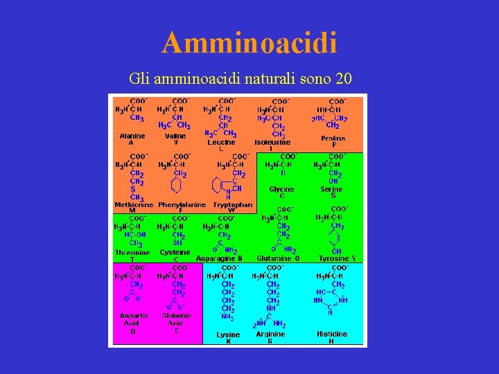 Amminoacidi Gli amminoacidi naturali sono 20 