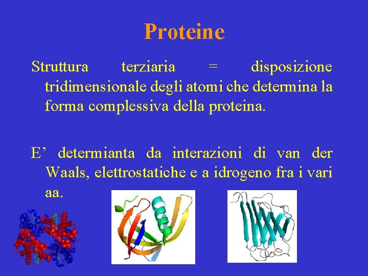 Proteine Struttura terziaria = disposizione tridimensionale degli atomi che determina la forma complessiva della