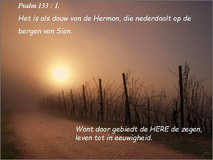 Psalm 133 : 1, Het is als dauw van de Hermon, die nederdaalt op