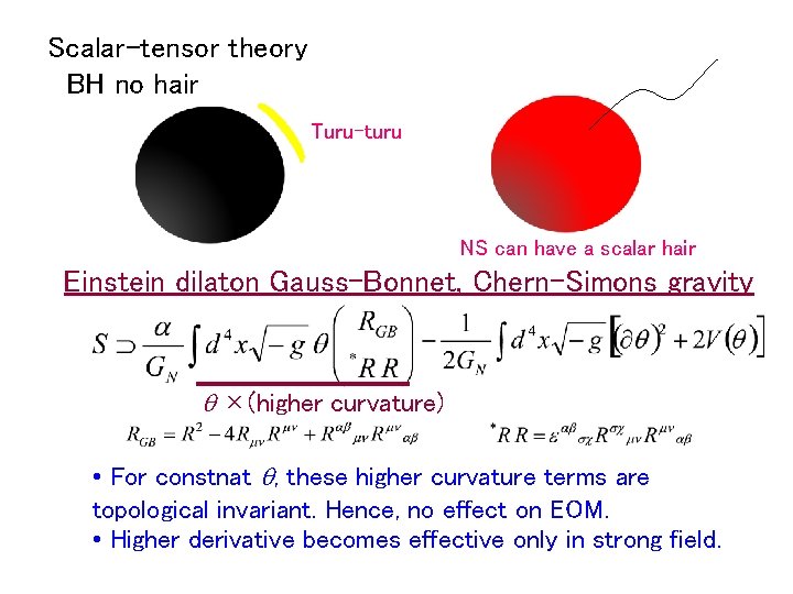 Scalar-tensor theory 　BH no hair Turu-turu NS can have a scalar hair Einstein dilaton