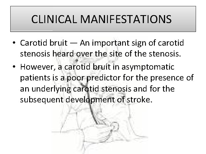 CLINICAL MANIFESTATIONS • Carotid bruit — An important sign of carotid stenosis heard over