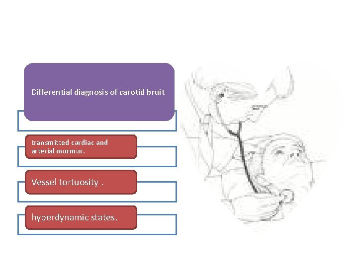 Differential diagnosis of carotid bruit transmitted cardiac and arterial murmur. Vessel tortuosity. hyperdynamic states.