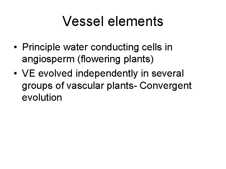 Vessel elements • Principle water conducting cells in angiosperm (flowering plants) • VE evolved