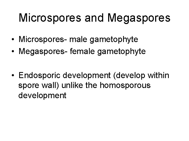 Microspores and Megaspores • Microspores- male gametophyte • Megaspores- female gametophyte • Endosporic development