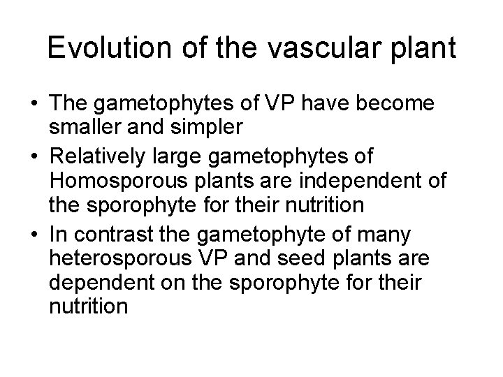 Evolution of the vascular plant • The gametophytes of VP have become smaller and