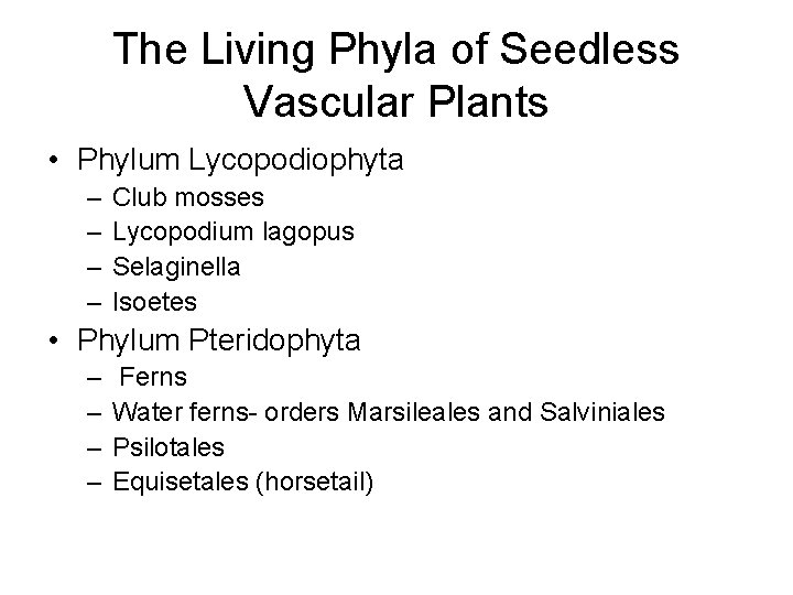 The Living Phyla of Seedless Vascular Plants • Phylum Lycopodiophyta – – Club mosses