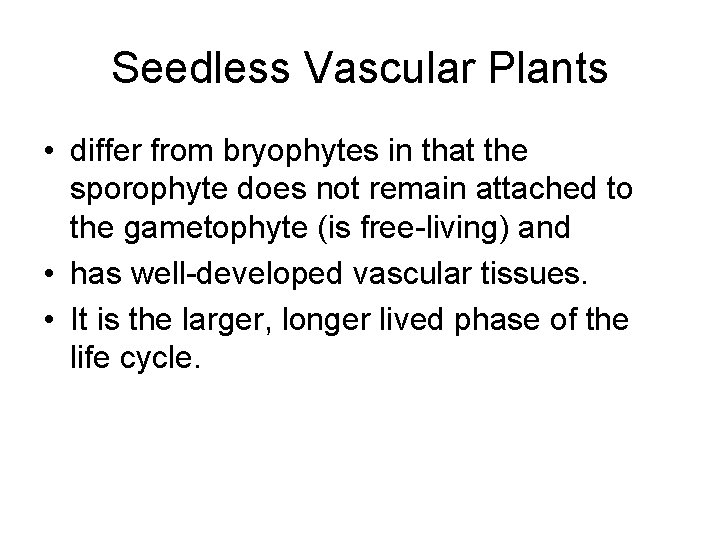 Seedless Vascular Plants • differ from bryophytes in that the sporophyte does not remain