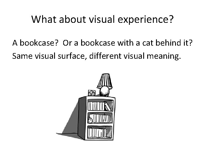 What about visual experience? A bookcase? Or a bookcase with a cat behind it?