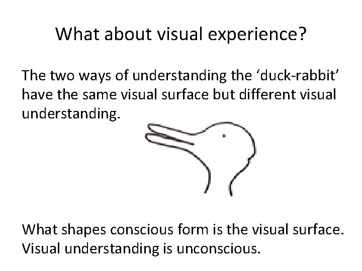 What about visual experience? The two ways of understanding the ‘duck-rabbit’ have the same