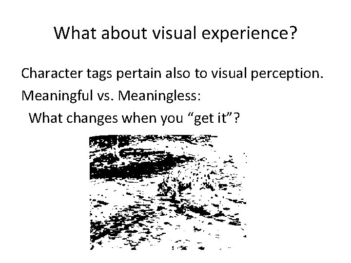 What about visual experience? Character tags pertain also to visual perception. Meaningful vs. Meaningless: