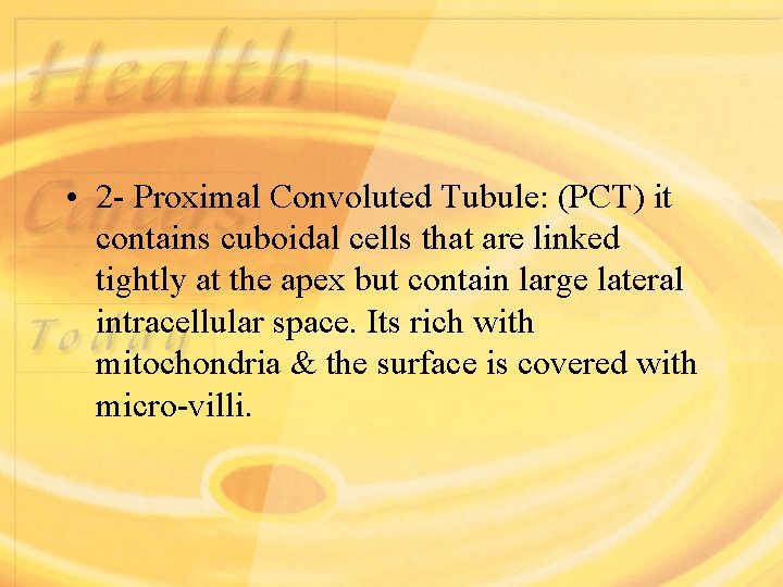  • 2 - Proximal Convoluted Tubule: (PCT) it contains cuboidal cells that are