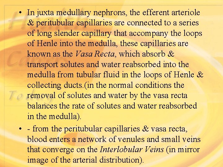  • In juxta medullary nephrons, the efferent arteriole & peritubular capillaries are connected