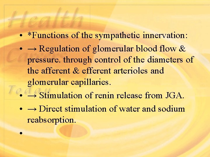  • *Functions of the sympathetic innervation: • → Regulation of glomerular blood flow