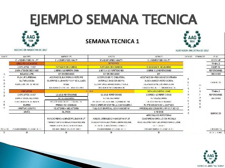 EJEMPLO SEMANA TECNICA EJEMPLO SEMANA TECNICA