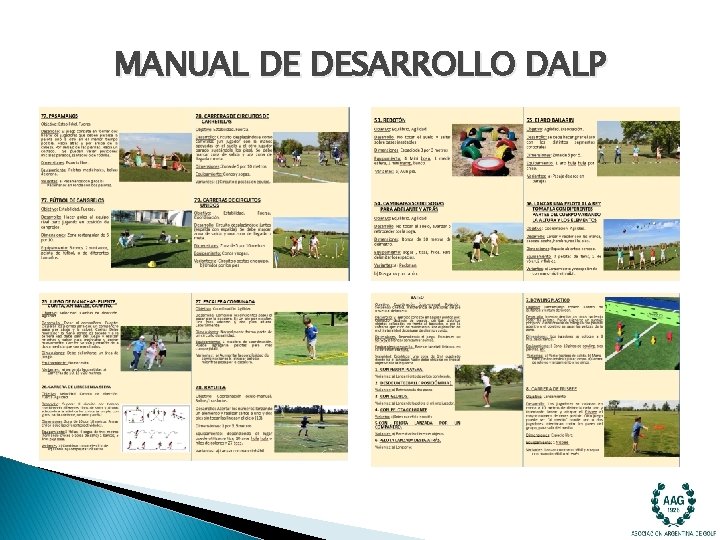 MANUAL DE DESARROLLO DALP MANUAL DE DESARROLLO DALP