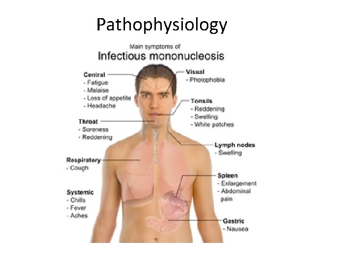 Pathophysiology 