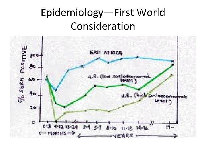 Epidemiology—First World Consideration 