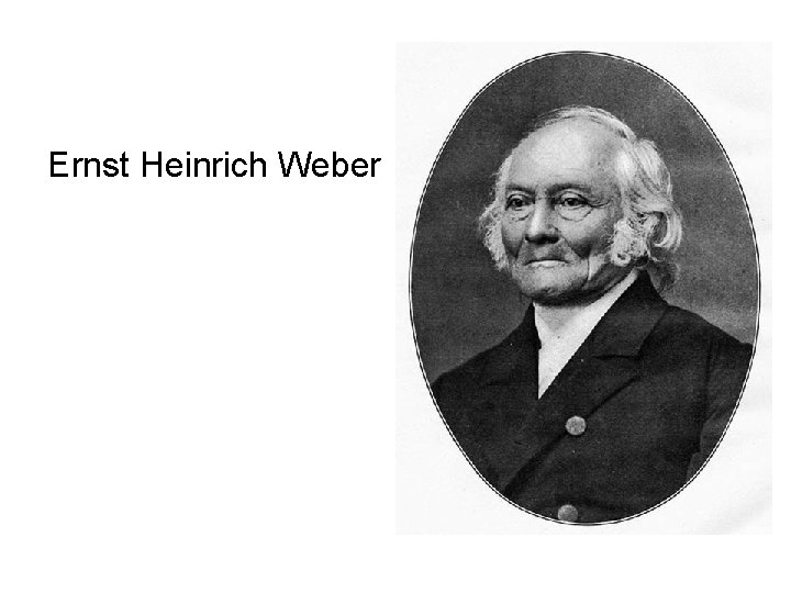 Ernst Heinrich Weber 