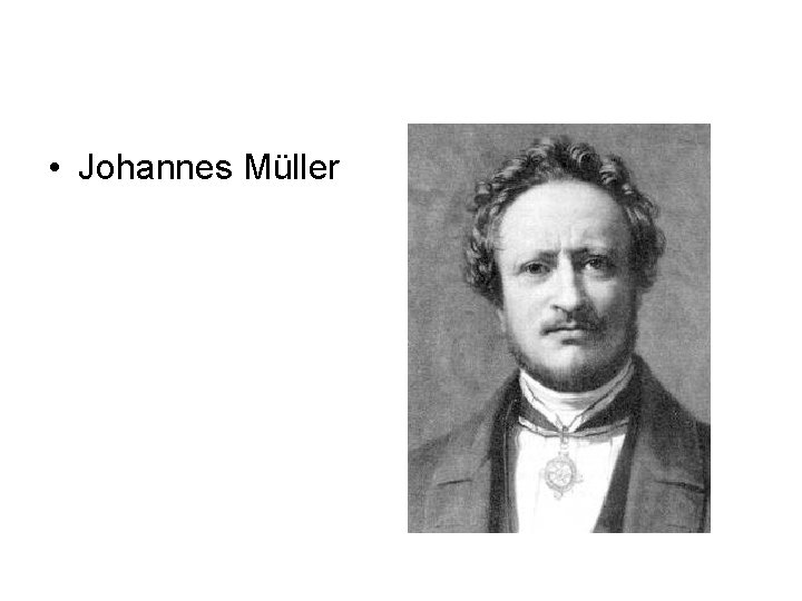  • Johannes Müller 