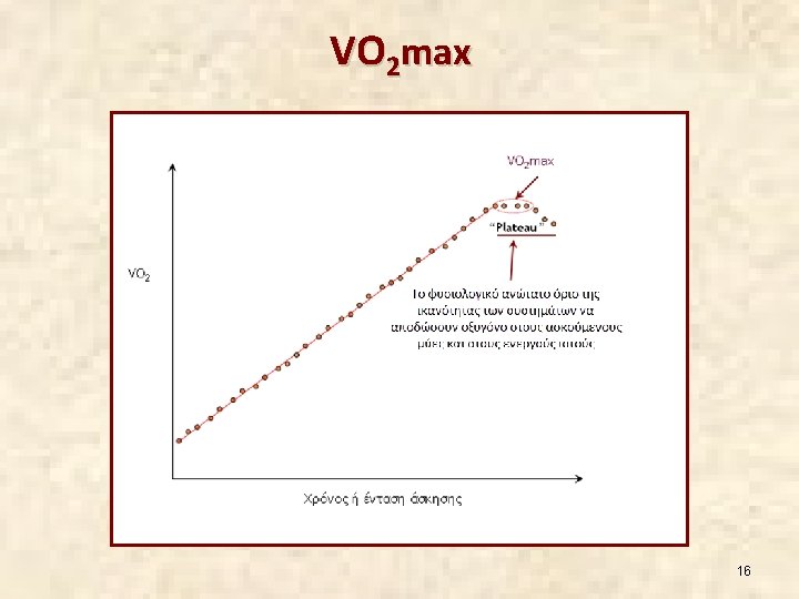 VO 2 max 16 