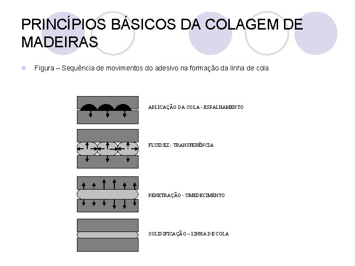 PRINCÍPIOS BÁSICOS DA COLAGEM DE MADEIRAS l Figura – Sequência de movimentos do adesivo