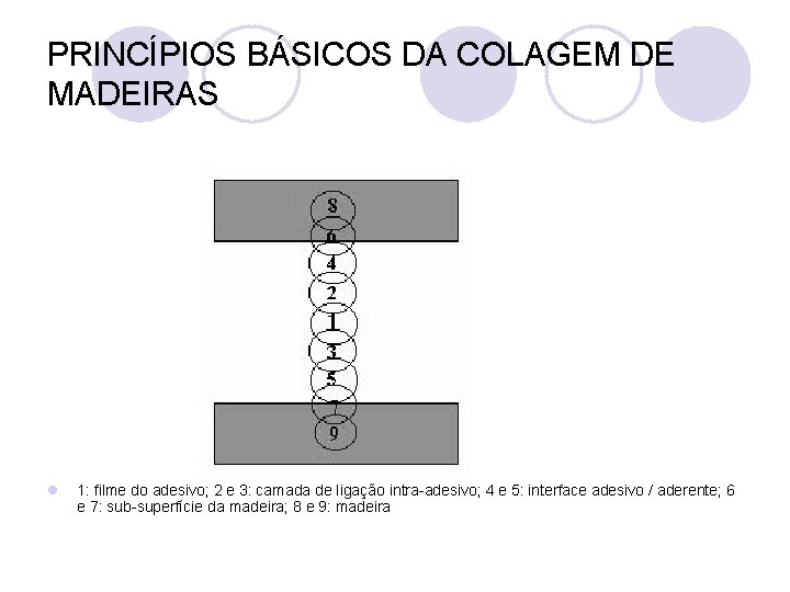 PRINCÍPIOS BÁSICOS DA COLAGEM DE MADEIRAS l 1: filme do adesivo; 2 e 3: