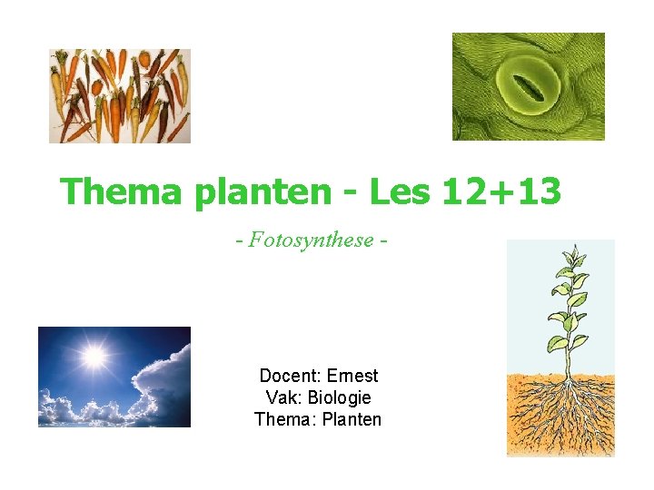 Thema planten - Les 12+13 - Fotosynthese - Docent: Ernest Vak: Biologie Thema: Planten