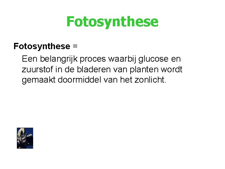 Fotosynthese = Een belangrijk proces waarbij glucose en zuurstof in de bladeren van planten