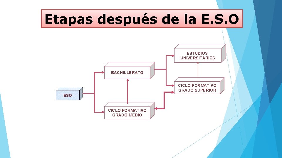 Etapas después de la E. S. O ESTUDIOS UNIVERSITARIOS BACHILLERATO CICLO FORMATIVO GRADO SUPERIOR