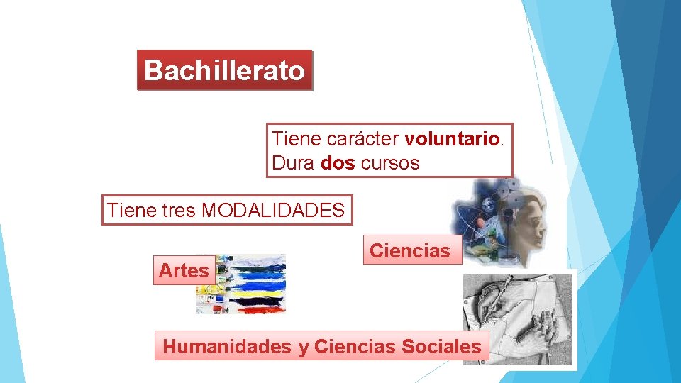 Bachillerato Tiene carácter voluntario. Dura dos cursos Tiene tres MODALIDADES Artes Ciencias Humanidades y