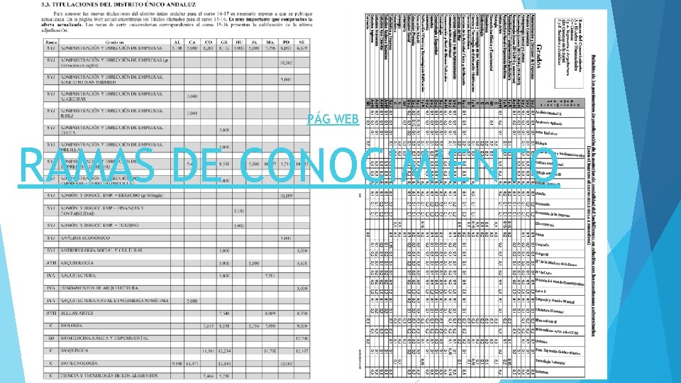 PÁG WEB RAMAS DE CONOCIMIENTO 