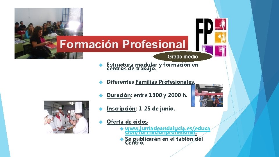 Formación Profesional Grado medio Estructura modular y formación en centros de trabajo. Diferentes Familias