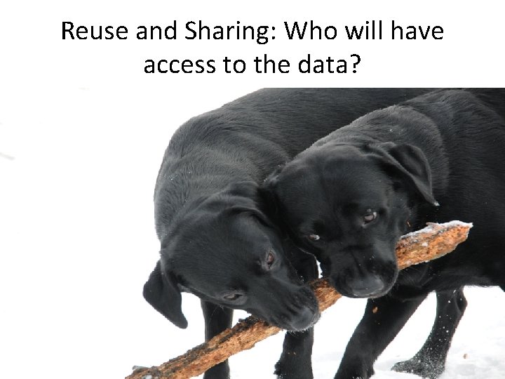 Reuse and Sharing: Who will have access to the data? 