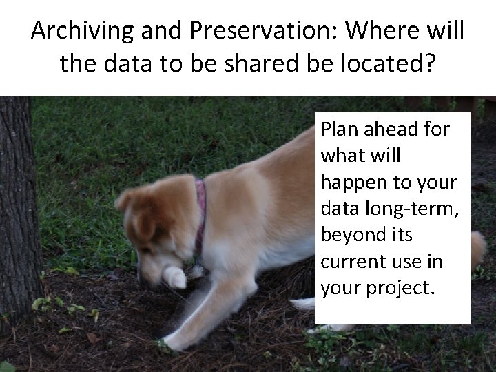 Archiving and Preservation: Where will the data to be shared be located? Plan ahead