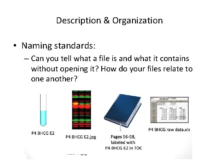 Description & Organization • Naming standards: – Can you tell what a file is