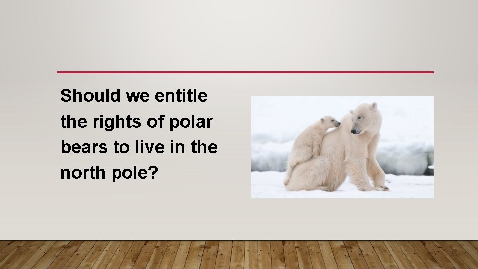 Should we entitle the rights of polar bears to live in the north pole?