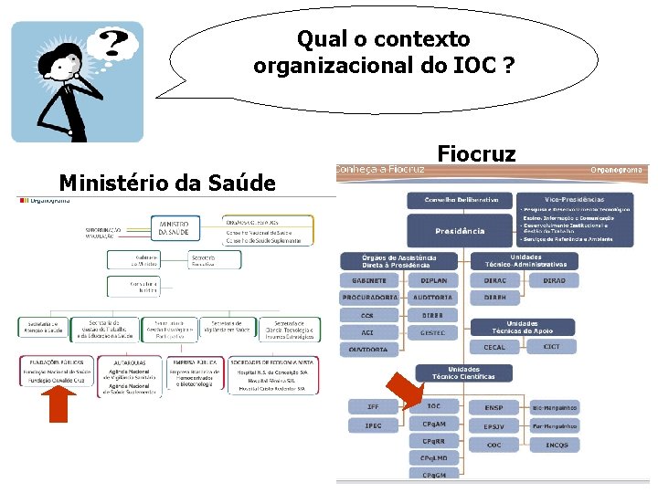 Qual o contexto organizacional do IOC ? Fiocruz Ministério da Saúde 