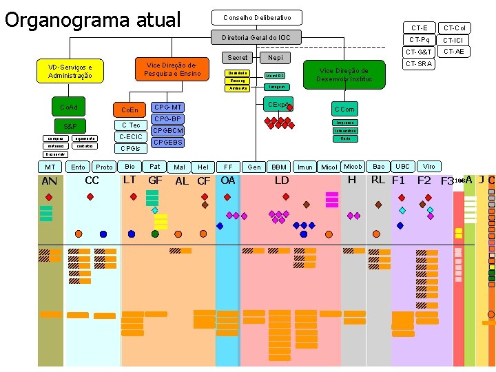 Organograma atual Conselho Deliberativo Diretoria Geral do IOC Vice Direção de. Pesquisa e Ensino