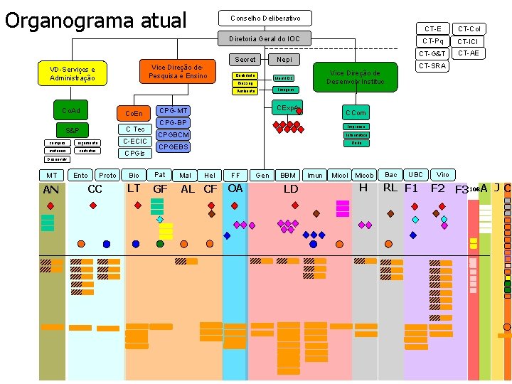 Organograma atual Conselho Deliberativo Diretoria Geral do IOC Vice Direção de. Pesquisa e Ensino