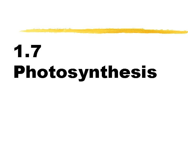 1. 7 Photosynthesis 