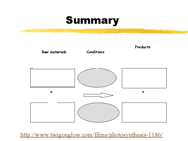 Summary Raw materials + Conditions Products + http: //www. twigonglow. com/films/photosynthesis-1186/ 