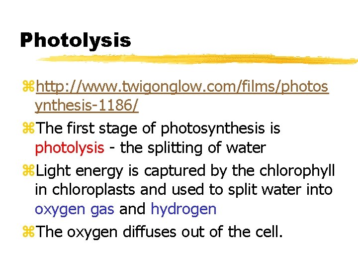 Photolysis zhttp: //www. twigonglow. com/films/photos ynthesis-1186/ z. The first stage of photosynthesis is photolysis